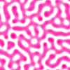 pink1.gif